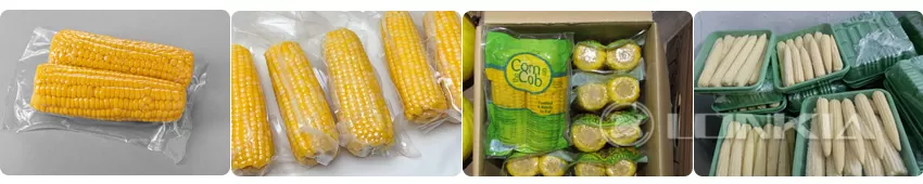 Vacuum Packed Fresh Corn Production Line